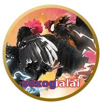 soxogialai