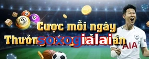 soxogialai